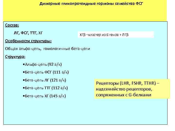 Димерные гликопротеидные гормоны семейства ФСГ Состав: ЛГ, ФСГ, ТТГ, ХГ ХГβ –кластер из 6