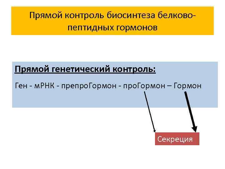 Прямой контроль биосинтеза белковопептидных гормонов Прямой генетический контроль: Ген - м. РНК - препро.