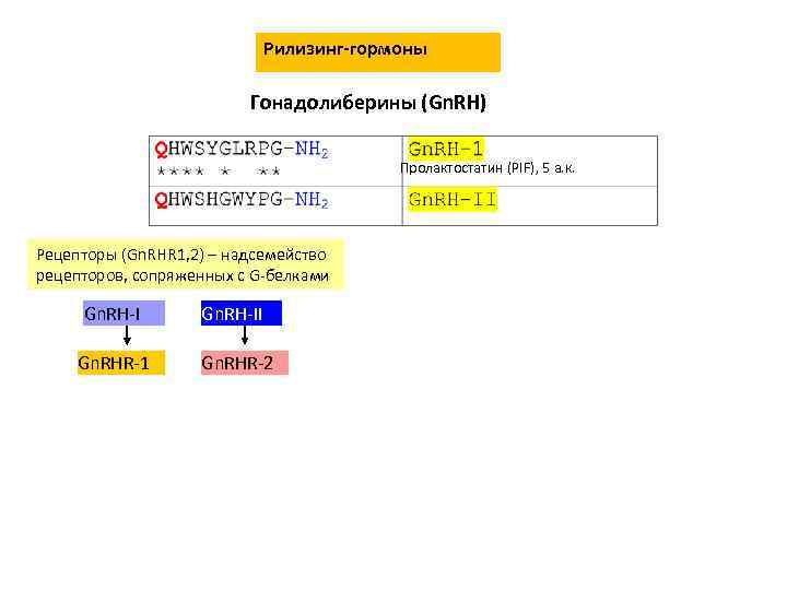 Рилизинг-гормоны Гонадолиберины (Gn. RH) Пролактостатин (PIF), 5 а. к. Рецепторы (Gn. RHR 1, 2)