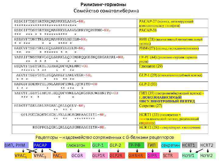 Рилизинг-гормоны Семейство соматолиберина Рецепторы – надсемейство сопряженных с G-белками рецепторов ВИП, PHM VPAC 1