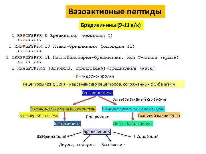 Антитела к брадикинину