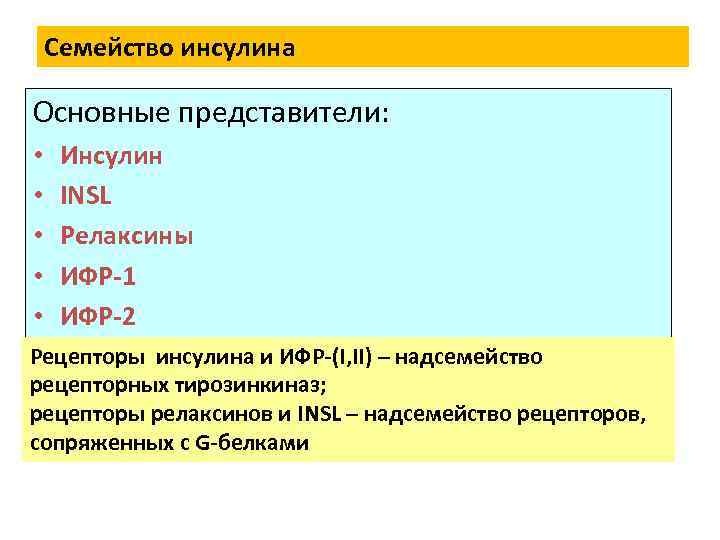 Семейство инсулина Основные представители: • • • Инсулин INSL Релаксины ИФР-1 ИФР-2 Рецепторы инсулина