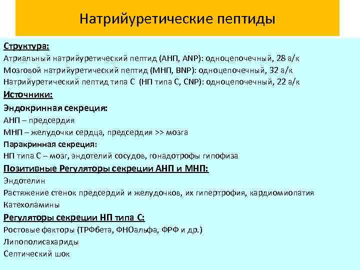 Натрийуретические пептиды Структура: Атриальный натрийуретический пептид (АНП, ANP): одноцепочечный, 28 а/к Мозговой натрийуретический пептид