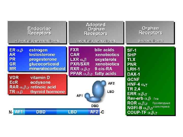 Гем Производные холестерина 