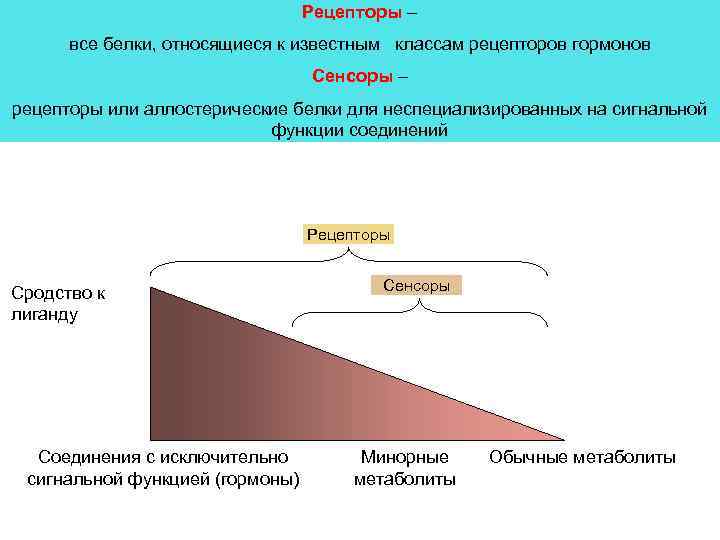 Рецепторы – все белки, относящиеся к известным классам рецепторов гормонов Сенсоры – рецепторы или