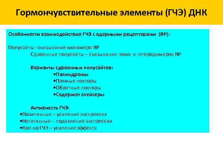 Гормончувствительные элементы (ГЧЭ) ДНК Особенности взаимодействия ГЧЭ с ядерными рецепторами (ЯР): Полусайты –связывание мономера