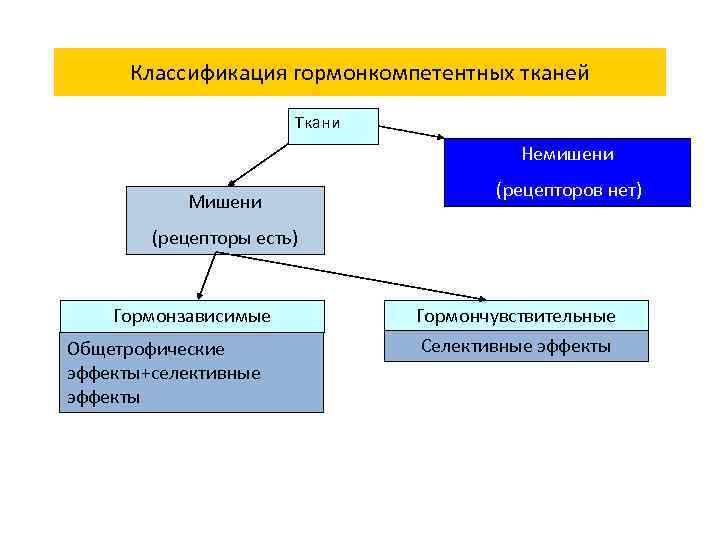 Классификация гормонкомпетентных тканей Ткани Немишени Мишени (рецепторов нет) (рецепторы есть) Гормонзависимые Общетрофические эффекты+селективные эффекты