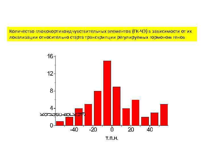 Количество глюкокортикоидчувствительных элементов (ГК-ЧЭ) в зависимости от их локализации относительно старта транскрипции регулируемых гормоном