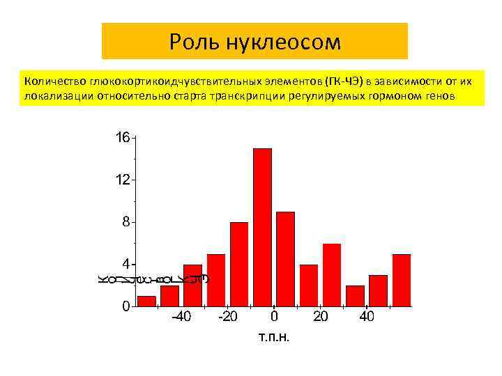 Роль нуклеосом Количество глюкокортикоидчувствительных элементов (ГК-ЧЭ) в зависимости от их локализации относительно старта транскрипции
