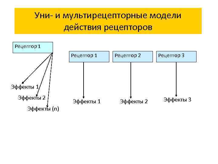 Уни- и мультирецепторные модели действия рецепторов Рецептор 1 Рецептор 2 Рецептор 3 Эффекты 1