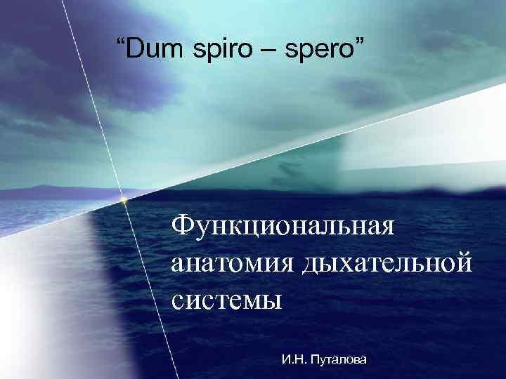 “Dum spiro – spero” Функциональная анатомия дыхательной системы И. Н. Путалова 