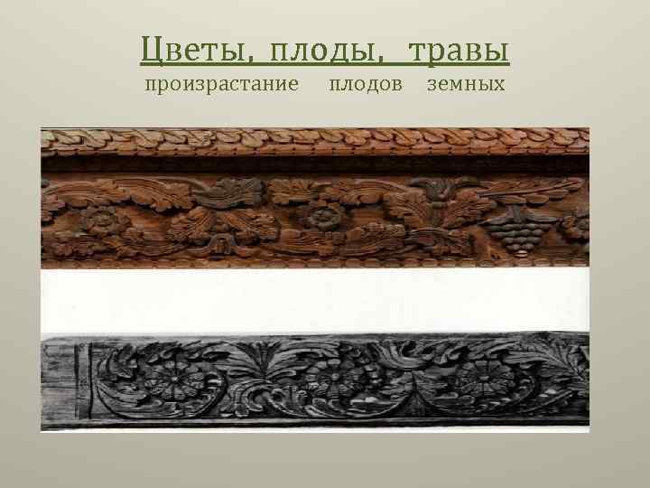 Цветы, плоды, травы произрастание плодов земных 