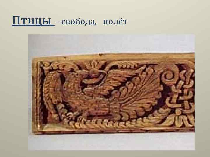 Птицы – свобода, полёт 