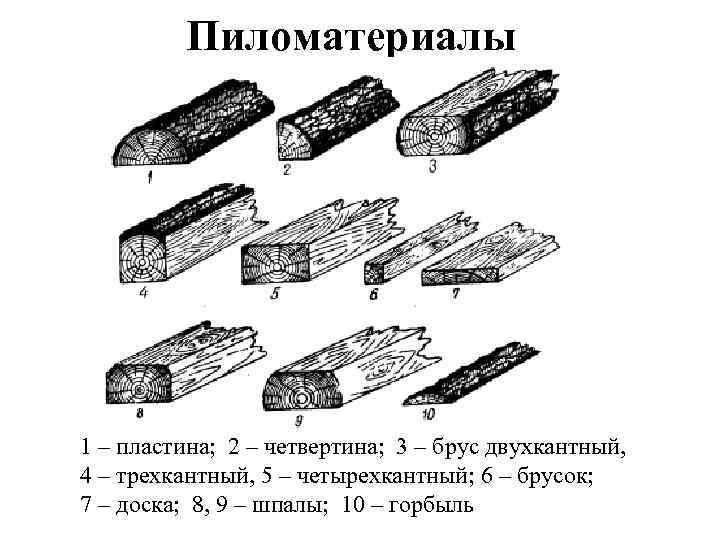 Пиломатериалы 1 – пластина; 2 – четвертина; 3 – брус двухкантный, 4 – трехкантный,