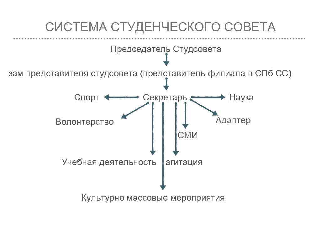 СИСТЕМА СТУДЕНЧЕСКОГО СОВЕТА Председатель Студсовета зам представителя студсовета (представитель филиала в СПб СС) Спорт