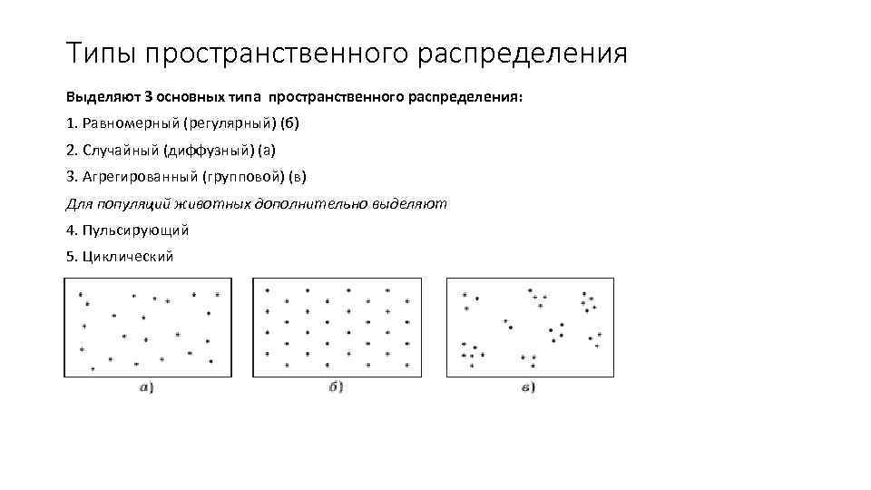 Типы пространственного распределения Выделяют 3 основных типа пространственного распределения: 1. Равномерный (регулярный) (б) 2.