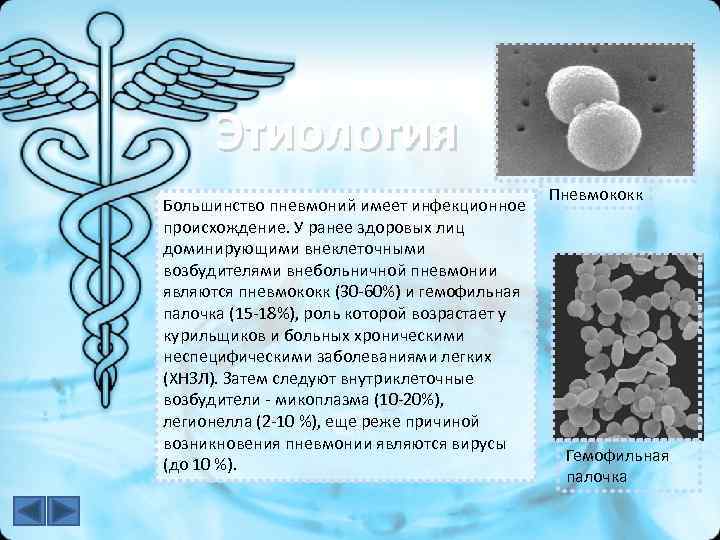 Этиология Большинство пневмоний имеет инфекционное происхождение. У ранее здоровых лиц доминирующими внеклеточными возбудителями внебольничной