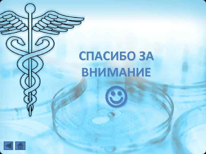 СПАСИБО ЗА ВНИМАНИЕ 