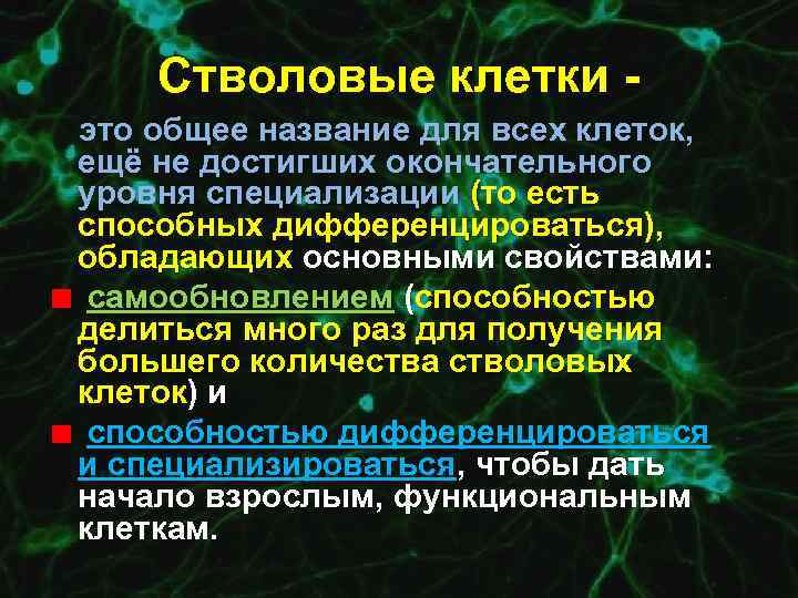 Стволовые клетки это общее название для всех клеток, ещё не достигших окончательного уровня специализации