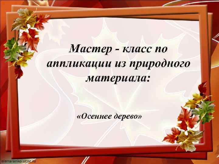 Мастер - класс по аппликации из природного материала: «Осеннее дерево» 