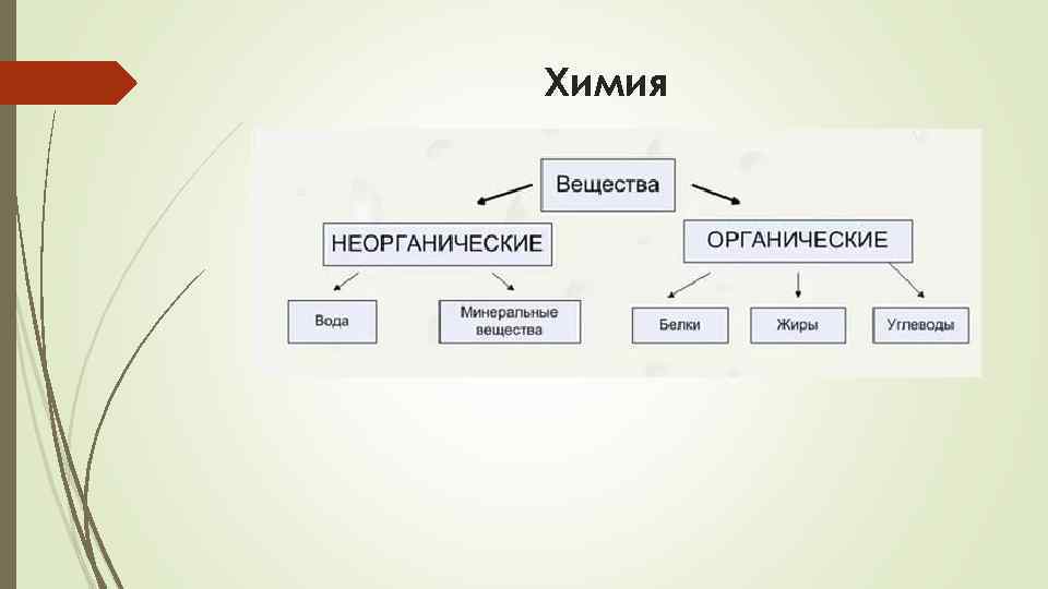 Отличия органических веществ. Органическая и неорганическая химия. Неорганическая и органическая химия разница. Органическая и неорганическая химия отличия. Органическая химия и неорганическая химия разница.