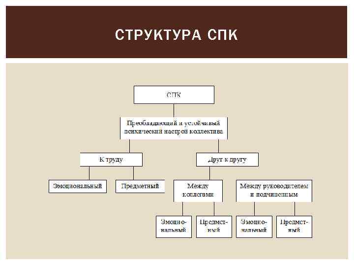 СТРУКТУРА СПК 