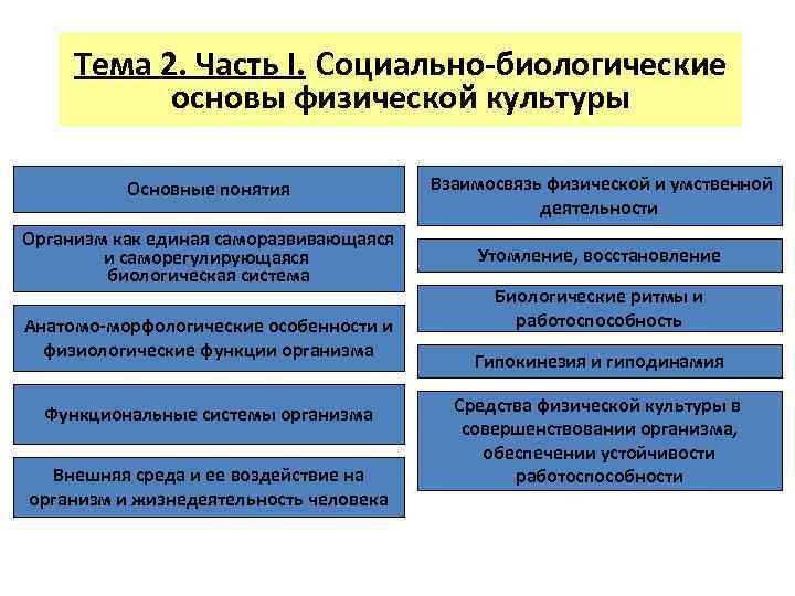 Социально биологические основы физической культуры