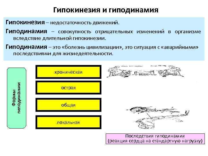 Гипокинезия и гиподинамия. Гипокинезия классификация. Гиподинамия это совокупность отрицательных. Гипокинезия причины возникновения.