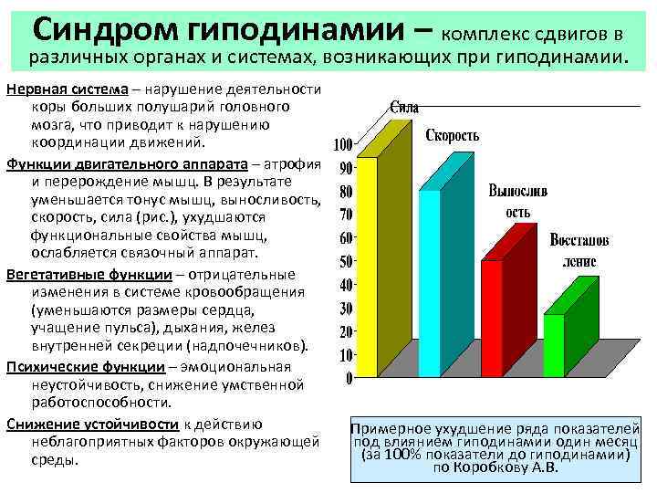 Синдром гиподинамии – комплекс сдвигов в различных органах и системах, возникающих при гиподинамии. Нервная