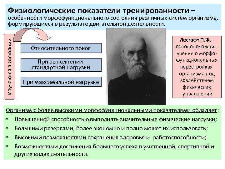 Физиологические показатели тренированности – Изучаются в состоянии особенности морфофункционального состояния различных систем организма, формирующиеся