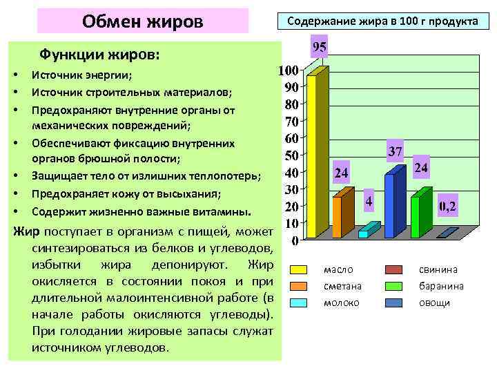 Обмен жиров Содержание жира в 100 г продукта Функции жиров: • • Источник энергии;