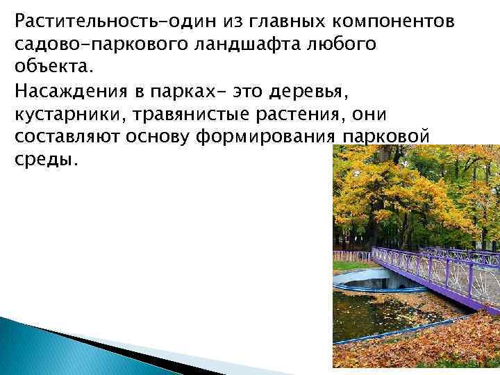 Растительность-один из главных компонентов садово-паркового ландшафта любого объекта. Насаждения в парках- это деревья, кустарники,