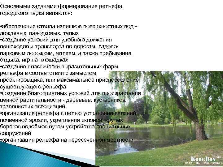 Основными задачами формирования рельефа городского парка являются: • обеспечение отвода излишков поверхностных вод дождевых,