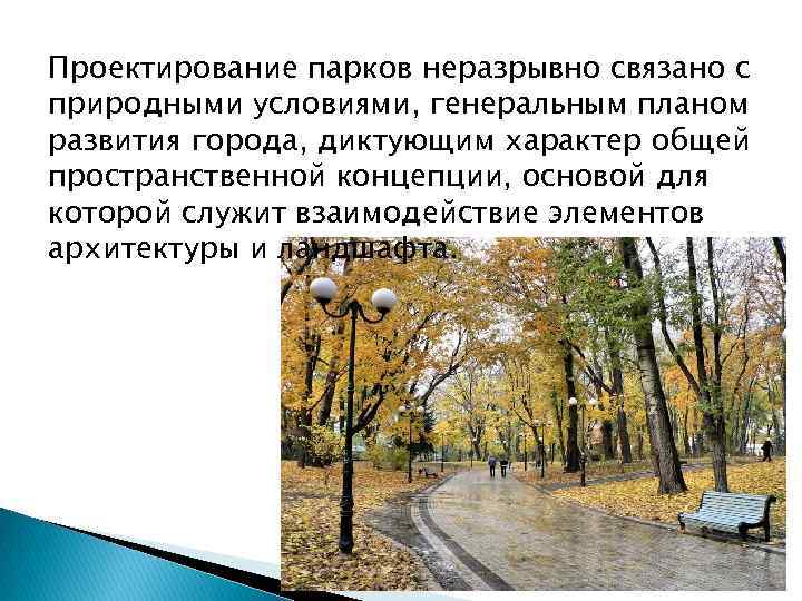 Проектирование парков неразрывно связано с природными условиями, генеральным планом развития города, диктующим характер общей