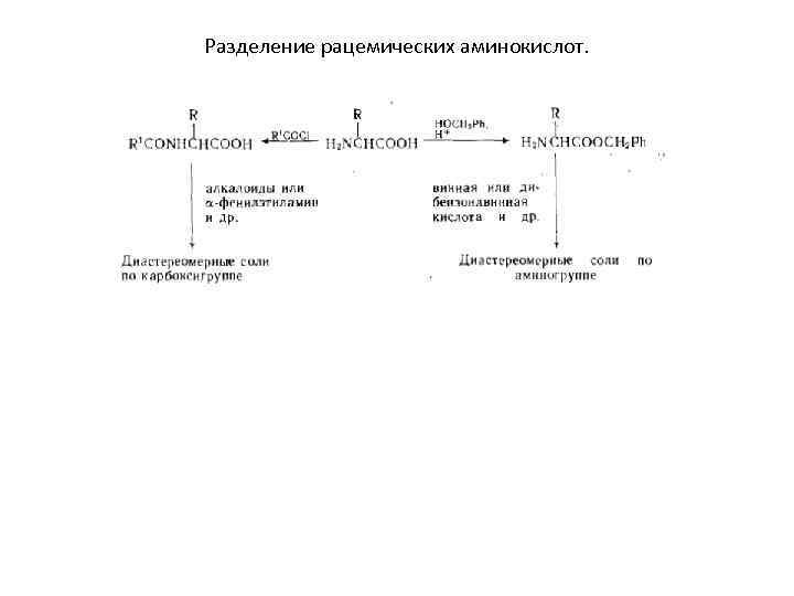 Разделение рацемических аминокислот. 