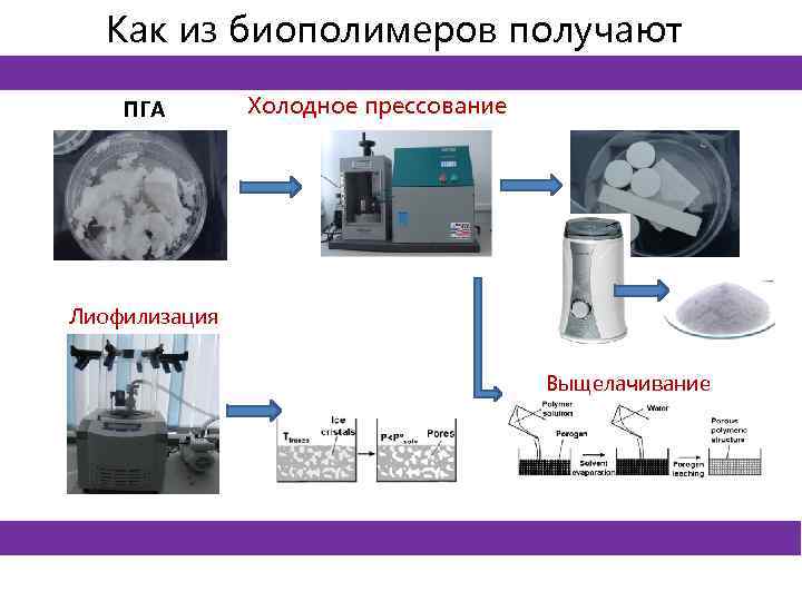 Как из биополимеров получают имплантаты? ПГА Холодное прессование Лиофилизация Выщелачивание 