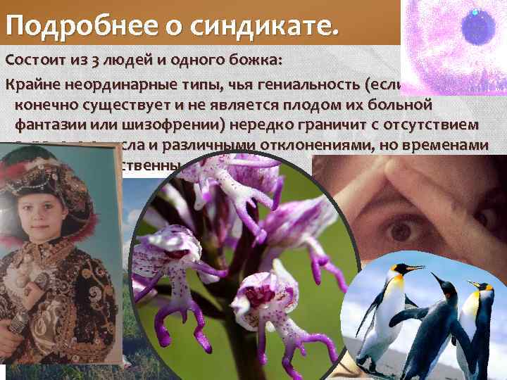 Подробнее о синдикате. Состоит из 3 людей и одного божка : Крайне неординарные типы,