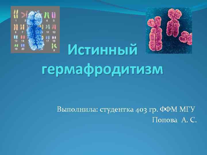 Почему гермафродитизм не получил широкого. Истинный гермафродитизм. Истинный и ложный гермафродитизм. Истинный гермафродитизм у человека. Кариотип человека с истинным гермафродитизмом.