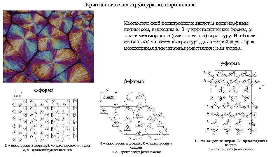 Кристаллическая структура полипропилена Изотактический полипропилен является полиморфным полимером, имеющим α β γ кристаллические формы,