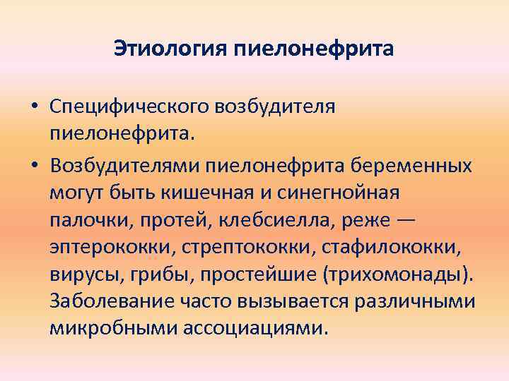 Этиология пиелонефрита • Специфического возбудителя пиелонефрита. • Возбудителями пиелонефрита беременных могут быть кишечная и