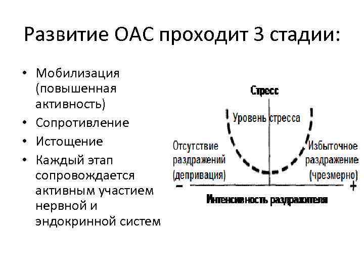 Развитие ОАС проходит 3 стадии: • Мобилизация (повышенная активность) • Сопротивление • Истощение •