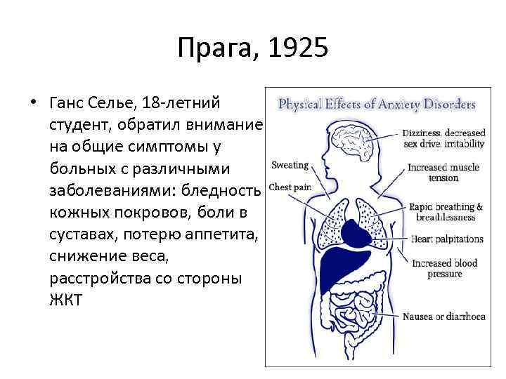 Прага, 1925 • Ганс Селье, 18 -летний студент, обратил внимание на общие симптомы у