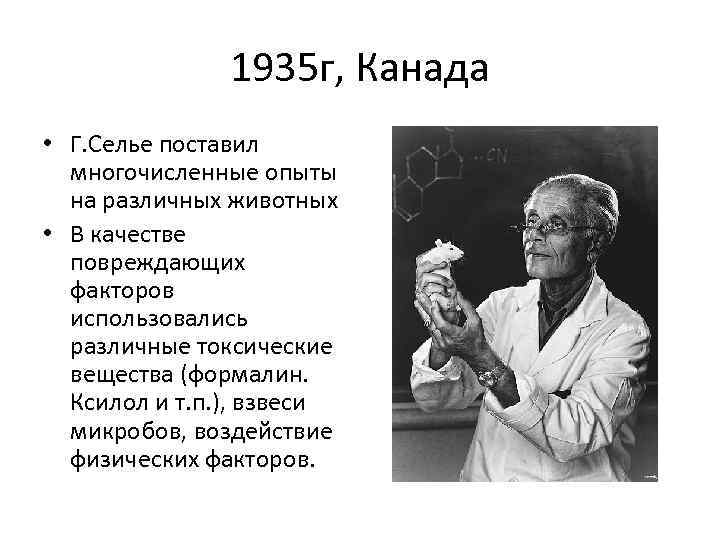 1935 г, Канада • Г. Селье поставил многочисленные опыты на различных животных • В