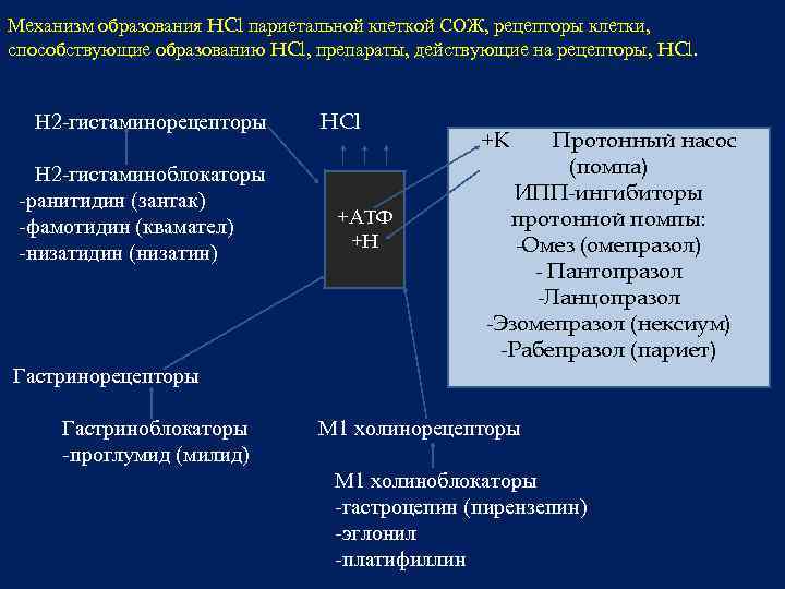 Механизм образования HCl париетальной клеткой СОЖ, рецепторы клетки, способствующие образованию HCl, препараты, действующие на