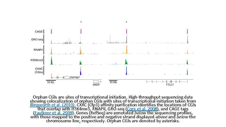 Orphan CGIs are sites of transcriptional initiation. High-throughput sequencing data showing colocalization of orphan