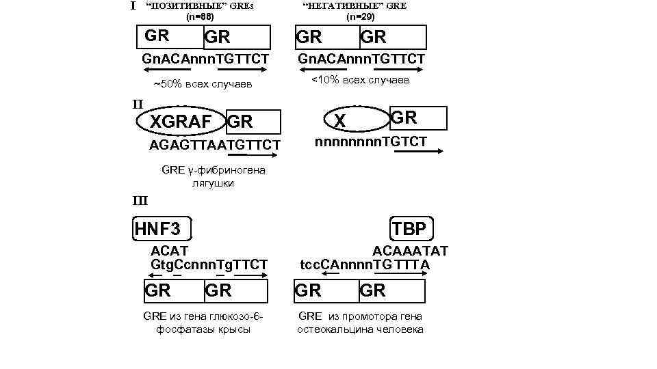 I “ПОЗИТИВНЫЕ” GREs (n=88) GR GR “НЕГАТИВНЫЕ” GRE (n=29) GR GR Gn. ACAnnn. TGTTCT