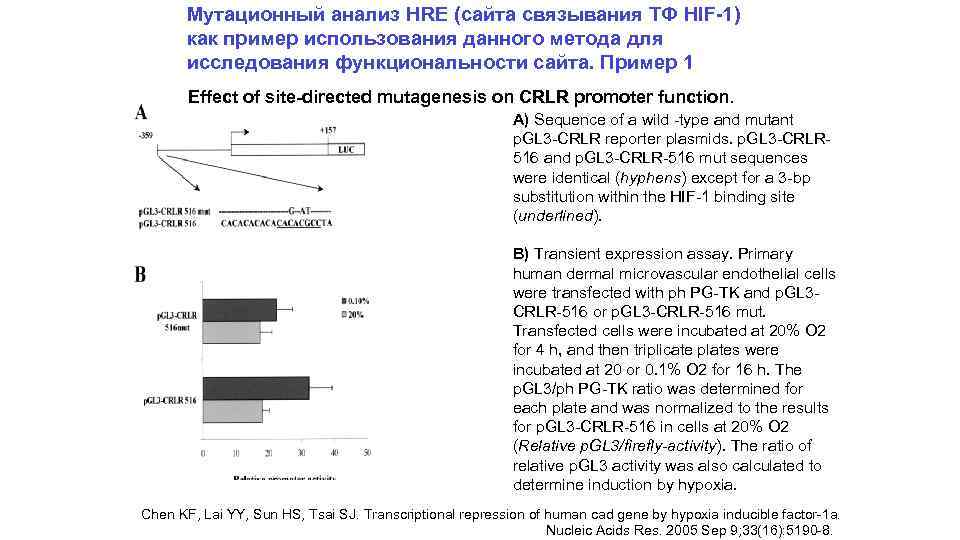 Мутационный анализ HRE (сайта связывания ТФ HIF-1) как пример использования данного метода для исследования