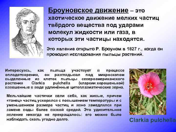 Броуновское движение – это хаотическое движение мелких частиц твёрдого вещества под ударами молекул жидкости