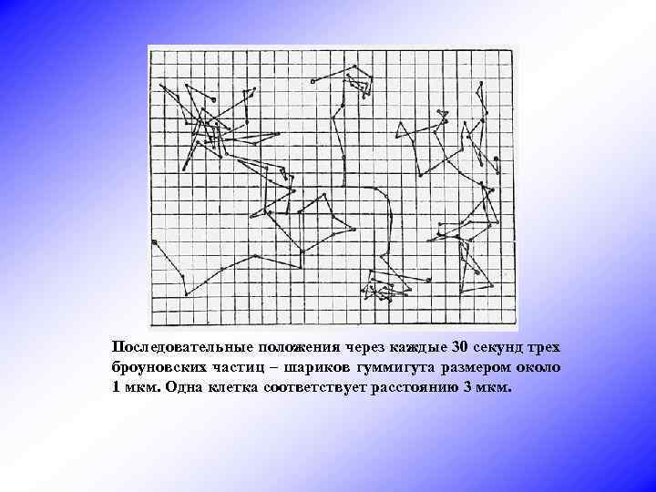 Последовательные положения через каждые 30 секунд трех броуновских частиц – шариков гуммигута размером около