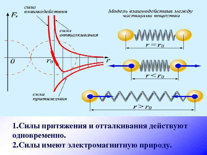 1. Силы притяжения и отталкивания действуют одновременно. 2. Силы имеют электромагнитную природу. 